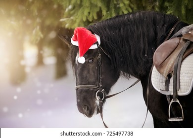 221,525 Santa hat snow Images, Stock Photos & Vectors | Shutterstock