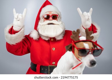 Portrait Of Santa Claus In Sunglasses Shows A Goat Sign. Dog Jack Russell Terrier In Rudolph Deer Ears On A White Background. 