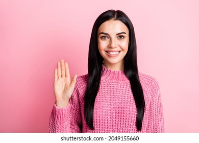 Portrait Of Satisfied Gorgeous Lady Beaming Smile Hand Palm Wave Wear Pullover Isolated On Pink Color Background