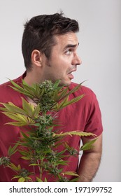 Portrait Of Scared Man Holding Cannabis Plant.