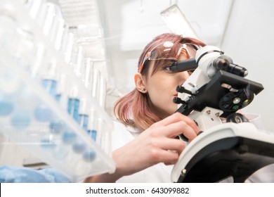 Portrait Of Scientist In Lab Coat Looking Through Microscope In Laboratory