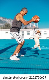 Portrait of senior adult turkish cypriot man playing basketball with a small cute jumping dog jack russel terrier on playground outdoor at sunny summer day - Shutterstock ID 2182786629