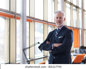 Portrait Of Senior Business Man With Grey Beard And Hair Alone I Modern Office Indoors