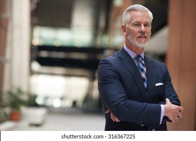 Portrait Of Senior Business Man With Grey Beard And Hair Alone I Modern Office Indoors