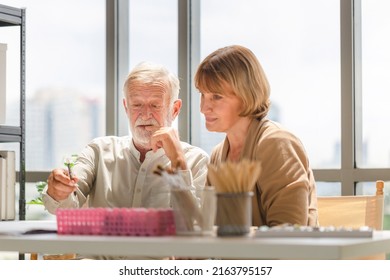 Portrait Of Senior Couple Painting On A Canvas In Living Room, Older Man And Woman Drawing Together On A Canvas At Art Studio, Happy Retirement Concepts