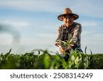 Portrait of senior farmer in corn field looking at camera holding crop in hands at sunset.