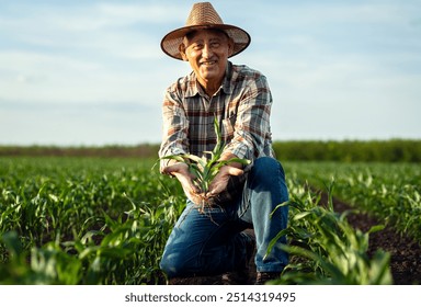 Portrait of senior farmer in corn field looking at camera holding crop in hands at sunset.