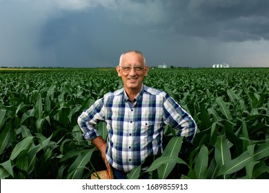 Portrait Of Senior Farmer Standing In Corn Field.