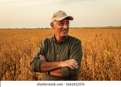 Portrait of senior farmer standing in soybean field examining crop at sunset. - Shutterstock ID 1661412376