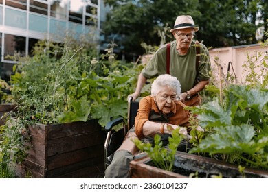 Portrait of senior friends taking care of vegetable plants in urban garden. - Powered by Shutterstock