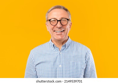 Portrait of senior male smiling wearing glasses and casual checkered shirt posing standing isolated over yellow orange studio background. Happy excited adult person looking at camera, free copy space