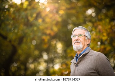 Portrait of a senior man outdoors, optimism, good health, happyness radiates of the man's face, expression - Powered by Shutterstock