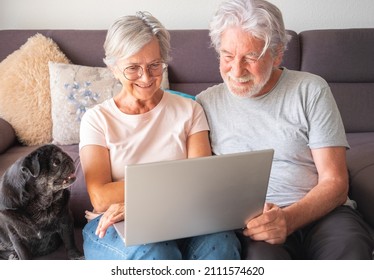 Portrait Of Senior Mature Caucasian People Couple With Old Pet Pug Dog Having Good Time Together With Love. Seniors Using Mobile Phone And Laptop. Concept Of Animal Therapy For Aged Old Person