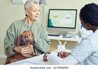 Portrait Of Senior Woman With Dog Visiting Vet Clinic And Talking To Veterinarian Explaining Symptoms