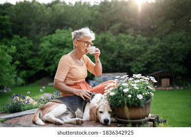 Portrait Of Senior Woman With Pet Dog Sitting Outdoors In Garden, Relaxing With Coffee.