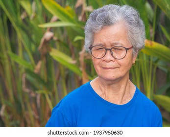 Portrait of a senior woman with short gray hair wearing glasses and looking down while standing in a garden. Space for text. Concept of aged people and healthcare.