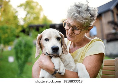 Portrait of senior woman standing outdoors in garden, holding pet dog. - Powered by Shutterstock