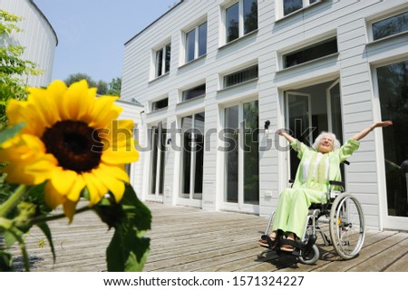 Similar – Sonnenblumen vor einem Haus