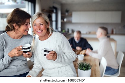 Portrait Of Senior Women Friends With Coffee At Home, Talking.