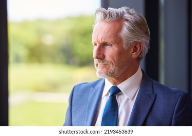 Portrait Of Serious Senior Businessman CEO Chairman Standing Inside Modern Office Building