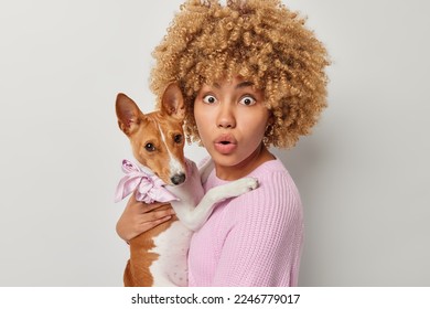 Portrait of shocked stunned woman poses with basenji dog on hands stunned to hear bad news carries pet outdoors for having walk isolated over grey backgrund. Impressed female domestic animal owner - Shutterstock ID 2246779017