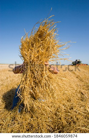 Similar – Image, Stock Photo Man covering himself with summer hat at countryside.