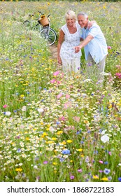 A Portrait Shot Of A Happy Senior Couple Standing And Looking At Flowers On A Path Through Field Of Wildflowers With Bicycles In Background.