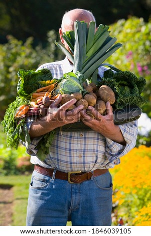 Similar – Image, Stock Photo Man covering himself with summer hat at countryside.