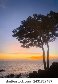 Portrait of a silhouette tree on Senggigi beach with sunset. Silhouette tree against the fixed sun.  Typical Senggigi sunset with trees on coral rocks in Lombok, Indonesia