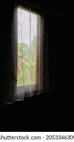 Portrait Single Old Window With White Curtain Lace In The Dark Room. Moody And Spooky. Coldy And Lonely.