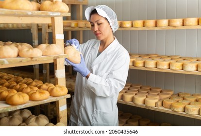 Portrait of skilled Asian woman working in storehouse at cheese factory, controlling maturing process of goat cheese wheels placed on shelves - Shutterstock ID 2050435646