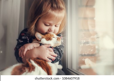 Portrait of a small cute child with a bald head that embraces with tenderness and love a red cat and smiles with happiness - Shutterstock ID 1084607918