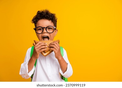 Portrait of small hungry schoolchild eat bite tasty sandwich empty space advert isolated on yellow color background - Powered by Shutterstock