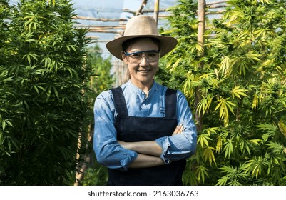 Portrait Of Smiley Female Medical Cannabis Researcher Standing In Cannabis Research Farm