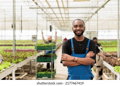 Portrait of smiling african american in modern greenhouse with workers preparing crates of organic food for delivery. Bio crops farmer posing happy in hydroponic enviroment for growing green crops. - Powered by Shutterstock