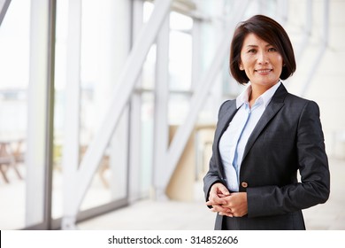 Portrait of smiling Asian businesswoman, standing