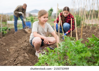 Portrait Of Smiling Child Girl Working With Mother And Father At Allotment, Digging Soil