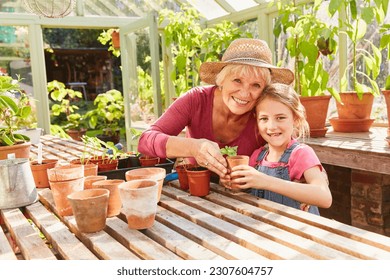 Portrait smiling grandmother granddaughter potting plants in greenhouse - Powered by Shutterstock