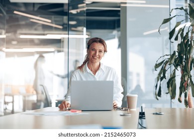 Portrait of smiling lady boss working on laptop at workplace in modern office. Blurred background - Powered by Shutterstock