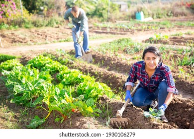 Portrait Of Smiling Latina Working In Family Vegetable Garden In Spring, Spudding Young Cabbage Plants..