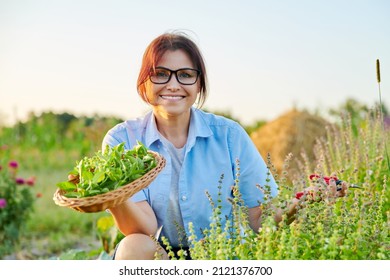 Portrait of smiling middle aged woman with cut basil leaves in basket - Powered by Shutterstock