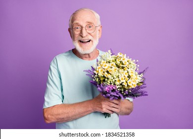 Portrait Of Smiling Positive Old Man Holding Bunch Flowers Wear Blue T-shirt Isolated Over Purple Color Background