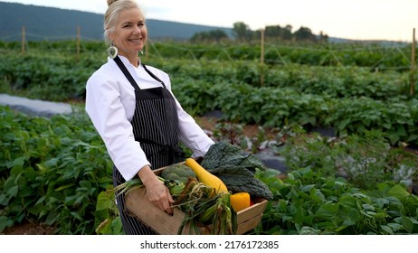 Portrait Of Smiling, Pretty, Caucasian, Female Chef Carrying Fresh Picked Vegetables Walking Towards Camera On A Farm For Farm To Table At Sunrise Sunset.