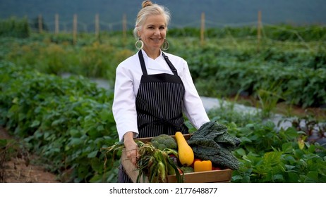 Portrait Of Smiling, Pretty, Caucasian, Female Chef Carrying Fresh Picked Vegetables Walking Towards Camera On A Farm For Farm To Table At Sunrise Sunset.