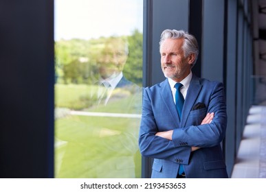 Portrait Of Smiling Senior Businessman CEO Chairman Standing By Window Inside Modern Office Building