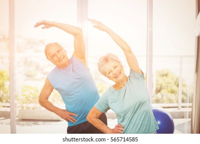 Portrait Of Smiling Senior Couple Exercising At Home