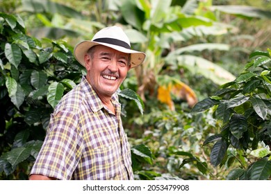 Portrait of a smiling senior farmer. Coffee farmer wearing hat. Happy old man in a Colombian coffee crop.