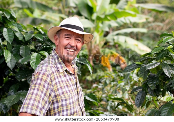 Portrait of a smiling\
senior farmer. Coffee farmer wearing hat. Happy old man in a\
Colombian coffee crop.