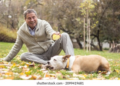 Portrait of a smiling senior man playing on grass with his dog, in the public park, outdoors