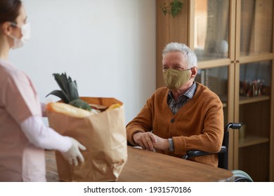 Portrait Of Smiling Senior Man In Wheelchair Talking To Woman Holding Grocery Bag, Assistance And Food Delivery Service, Copy Space